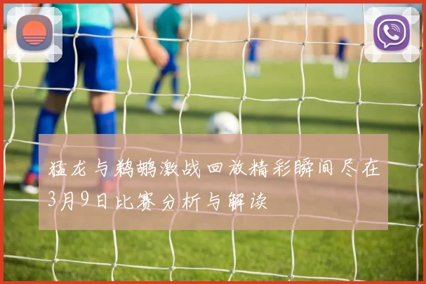 猛龙与鹈鹕激战回放精彩瞬间尽在3月9日比赛分析与解读