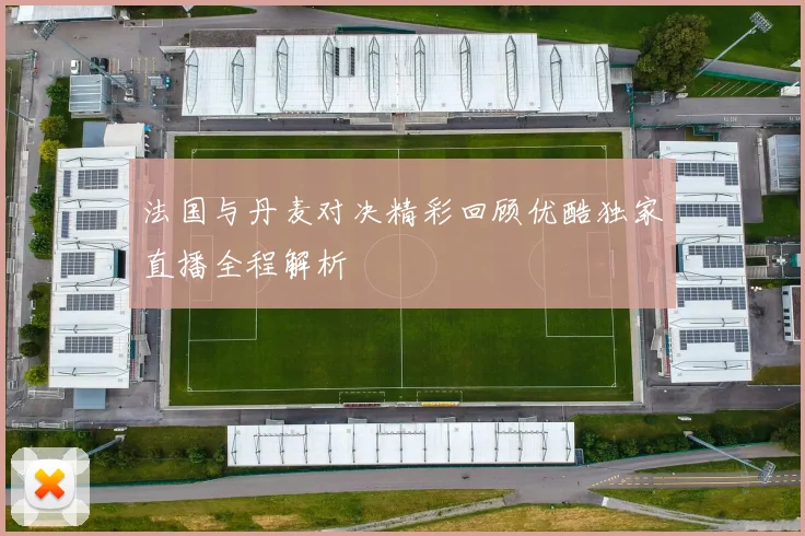 法国与丹麦对决精彩回顾优酷独家直播全程解析